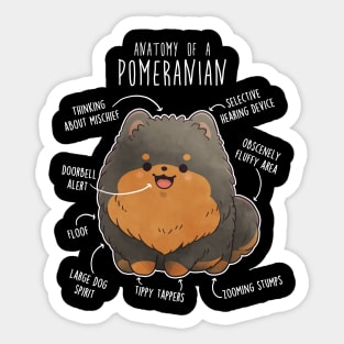 Black and Tan Pomeranian Dog Anatomy Sticker